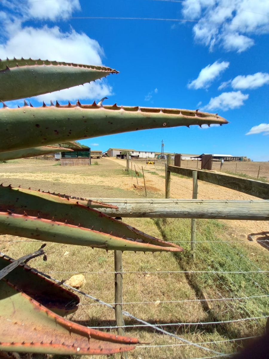  Bedroom Property for Sale in Riversdale Rural Western Cape
